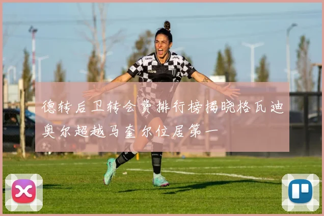 德转后卫转会费排行榜揭晓格瓦迪奥尔超越马奎尔位居第一