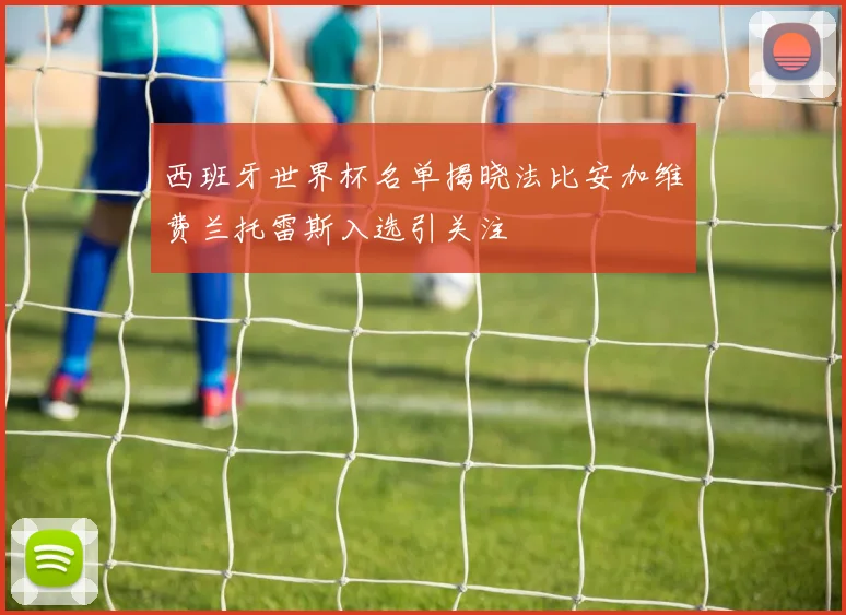 西班牙世界杯名单揭晓法比安加维费兰托雷斯入选引关注